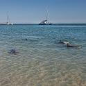 060 Shark Bay, monkey mia, dolfijnen